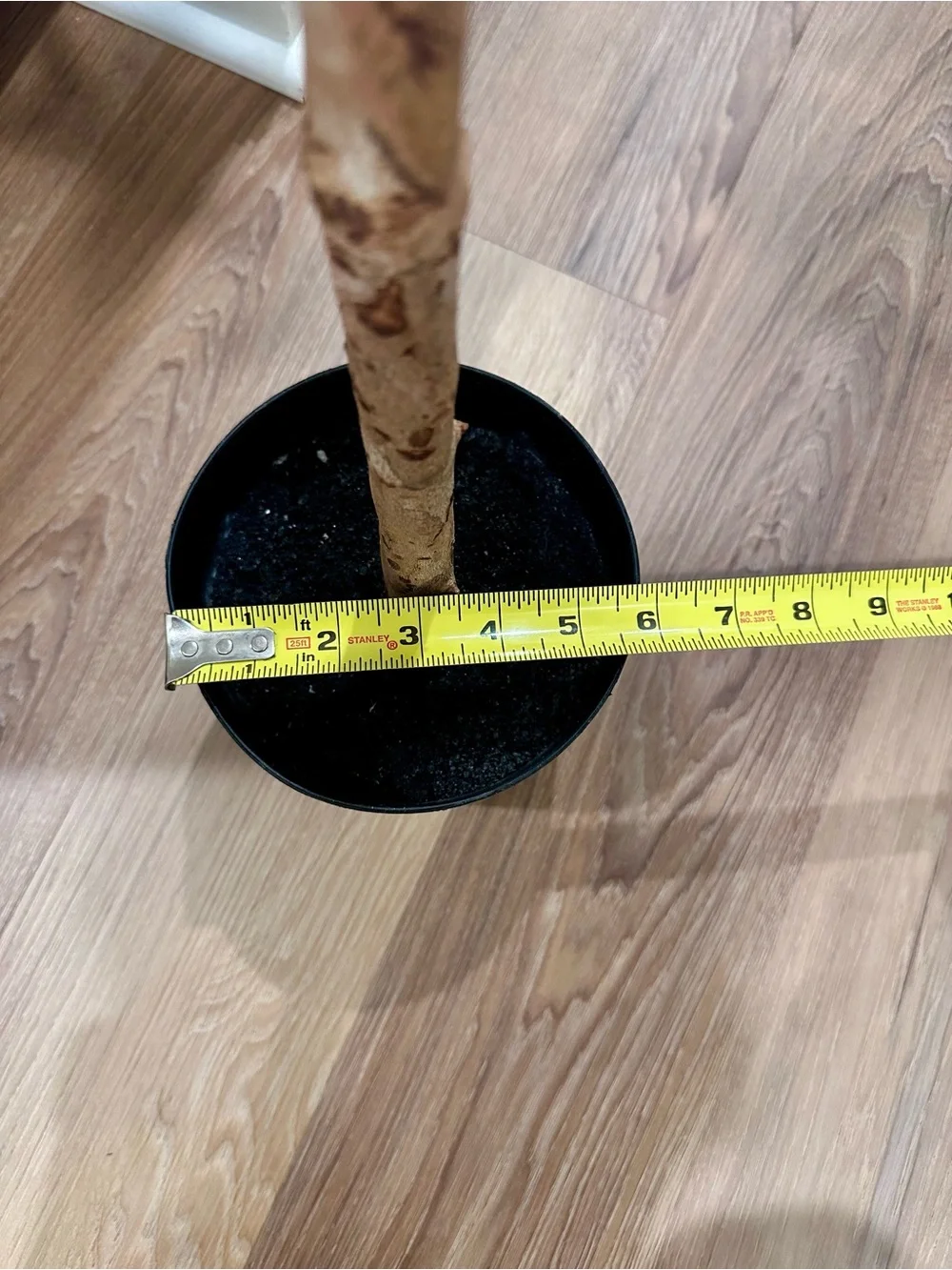 Faux Olive Tree